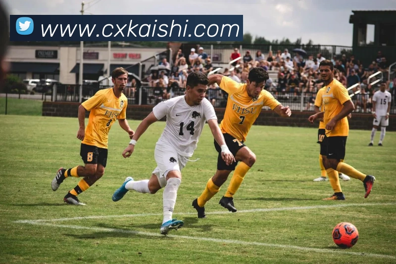 尊龙凯时平台生态图